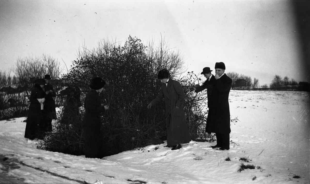 Fotoarkivet etter Gunnar Knudsen. Mennersker som står ved en busk på vinteren fotografert.