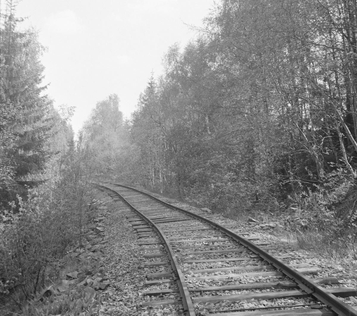 Langs traseen på den nedlagte Solbergfossbanen