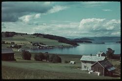Skogn med utsikt mot Holsand og Trondheimsfjorden
