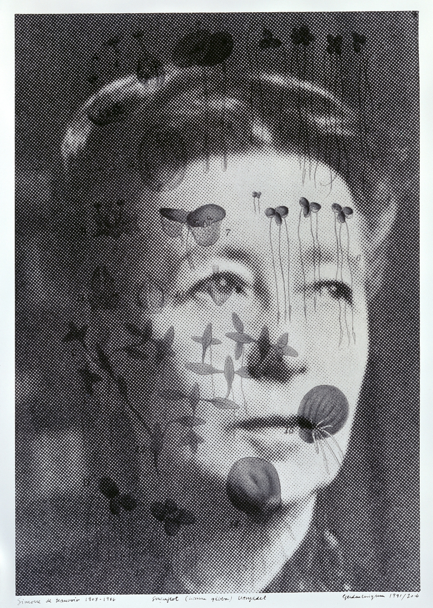 Simone de Beauvoir (1908–1986) Svuluflot, Lemna gibba, utryddet [Fotografi]