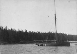 Fotoarkivet etter Gunnar Knudsen. Seilbåten "Terje Viken" ve