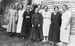 Dameselskap i Bjørkerusten, Nistugu-Enstad, ti kvinner oppst