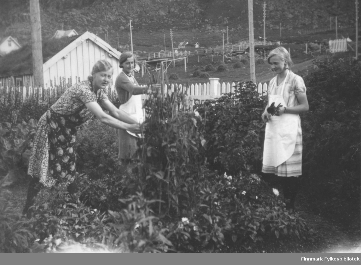 Tre damer står rundt en busk/hekk i en hage. Damen til høyre har en stripete sommerkjole med hvitt forkle. Damen til venstre har en mønstret kjole med et mørkt forkle med mønster. Damen i midten har en ensfarget kjole med en hvitt forkle. Mye planter og busker i hagen. Deler av et hvitt stakittgjerde er bak damene og innenfor det er det en stor plen. El-stolper ses over hele området. Røstveggen med stående panel på et lite bygg til venstre på bildet. Røstet på et par andre hus ses over taket på den nærmeste bygningen.