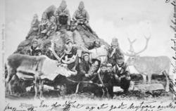 En samisk familie poserer ved og på en gamme. Denne familien