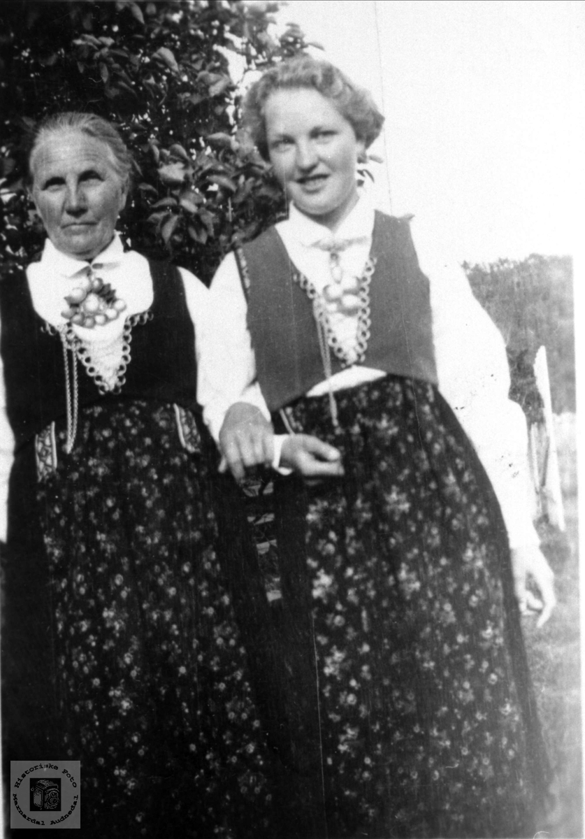 Mor og dotter i Veste-Agder bunader