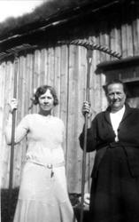 Slåttehjelp frå byen på Røynesdal