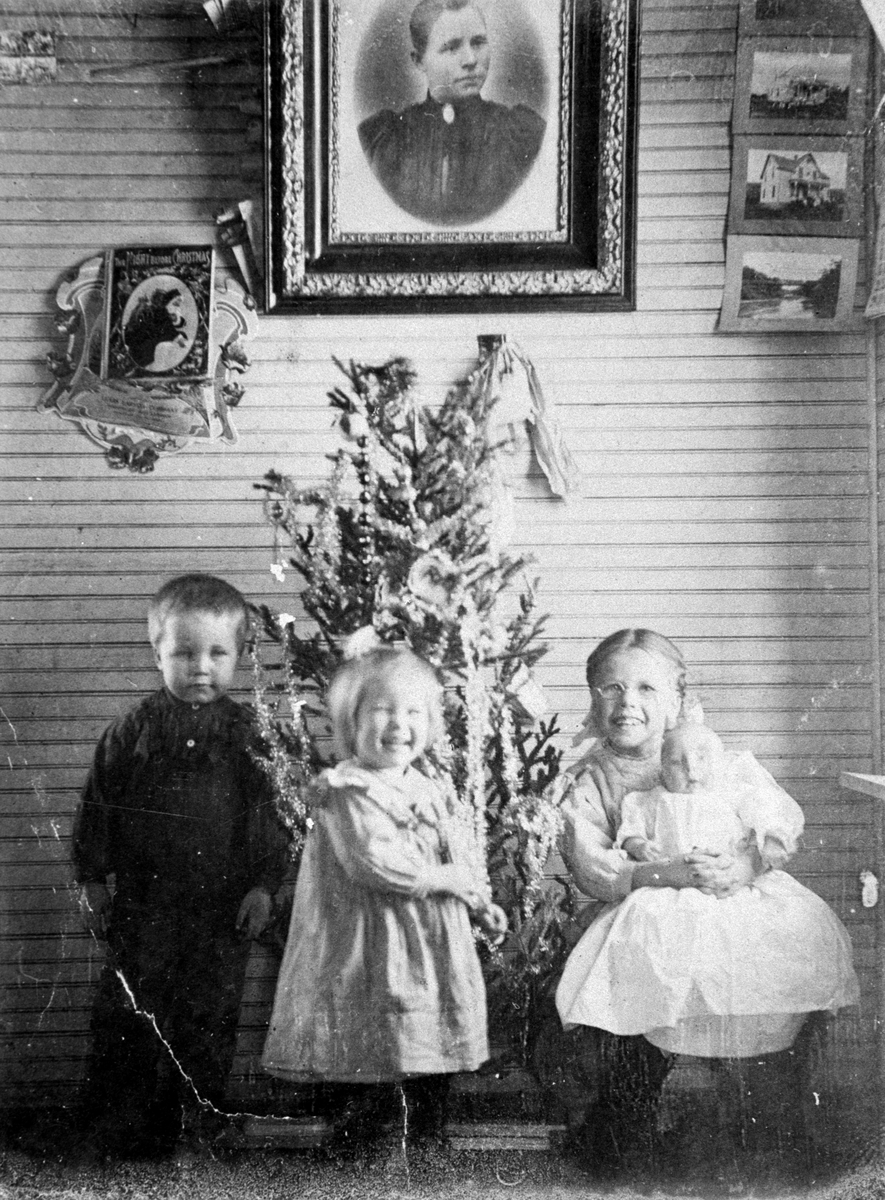 Amerikabilder, Per Mæhlum, Vallset.
Gruppebilde, fire barn foran juletre. Foran fra venstre: Olav, Mildrid, Dagny, Anne sitter på Dagnys fang. Alle Mæhlum til etternavn. Vegg med bilder i bakgrunn. Katheryn, Nord-Dakota, USA, ca 1908.  Dette var første bilde som Per Mæhlum tok.