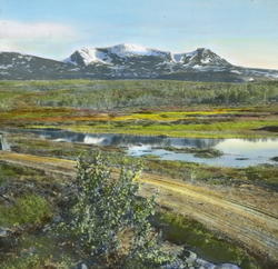 Over fjellet til Balsfjord.