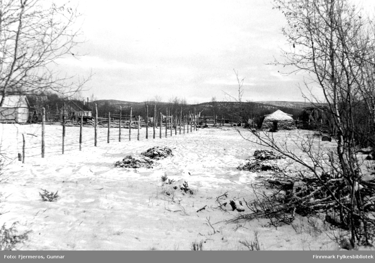 Et vinterlig bilde fra Ridonjarga i Karasjok, tatt i 1947.