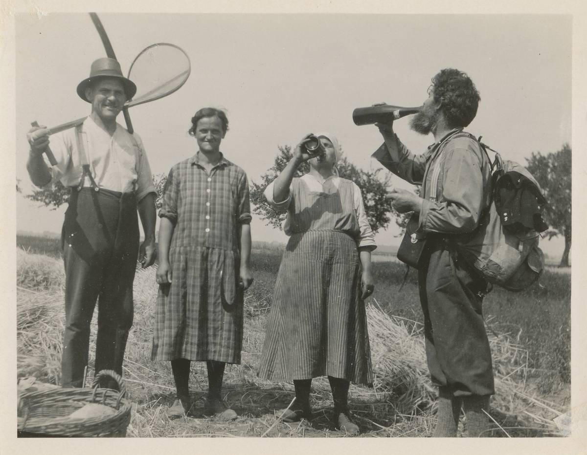 Tre mennesker som driver kornskurd og en mann med ryggsekk identifisert som Ingvald Skjeldrup. Skjeldrup og ei dame tar en slurk av en flaske med ukjent innhold.