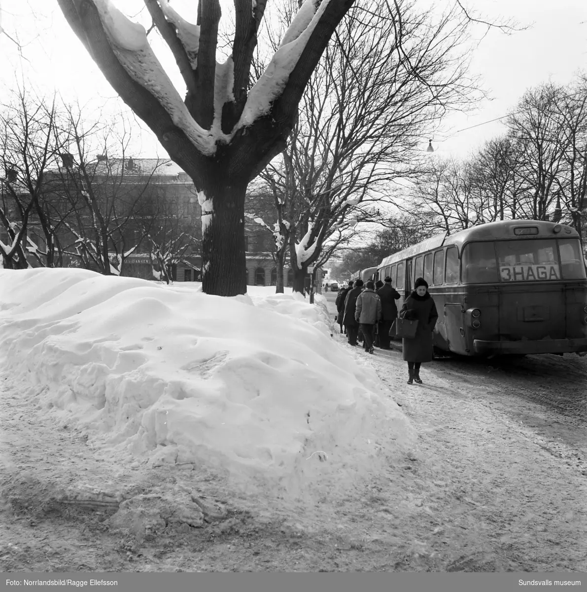 Vinterbilder från Sundsvall den snörika vintern 1966. Esplanaden, Vängåvan, torget och vid Selångersån.