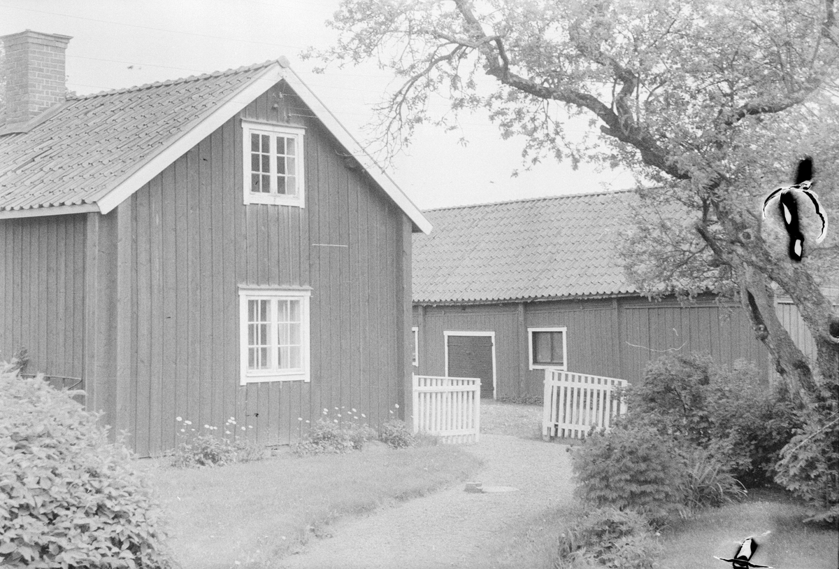 Bostadshus, lada, stall, lider och fähus, Skuttunge by 5:1, Skuttunge socken, Uppland 1976