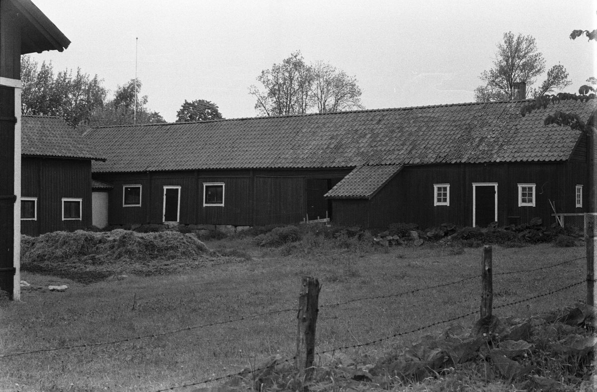 Lada, stall, lider och fähus, Skuttunge by 5:1, Skuttunge socken, Uppland 1976