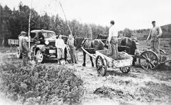 Lastebil, hester, personer, vogner