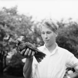 Vardens arkiv. "Brevdue innkommet til Camilla Colletsvei". 