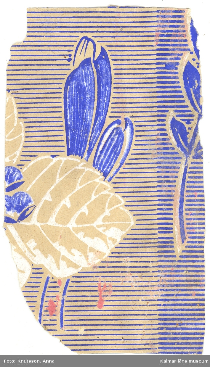 KLM 44086:3. Tapet i papper. Tapeten har pappersfärgad bakgrund med vågräta streck i ultramarinblått. Långa vackra knoppar i ultramarinblått och stora blad i vitt. Datering: tidig jugend, 1890-tal.