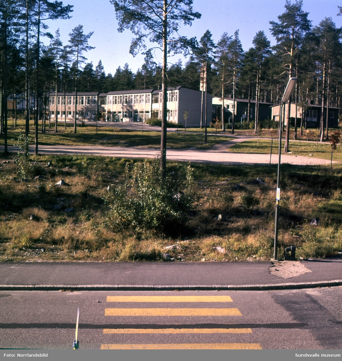 En stor grupp bilder på flerfamiljshusen i bostadsområdet Norrliden i Sundsvall. Baldersvägen, Kungsvägen, Norrlidsgatan, Tivolivägen.