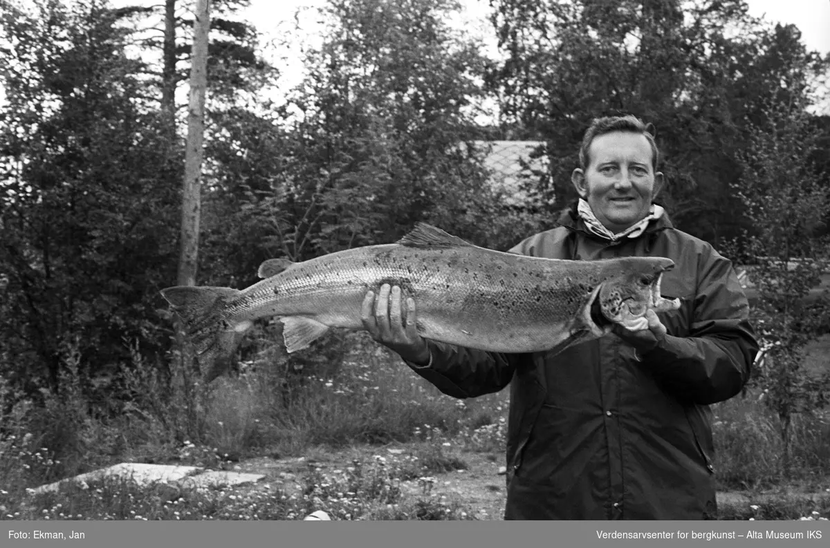 Fangst med personer.

Fotografert 1971.

Fotografert 1974.

Fotoserie: Laksefiske i Altaelva i perioden 1970-1988 (av Jan Ekman).

