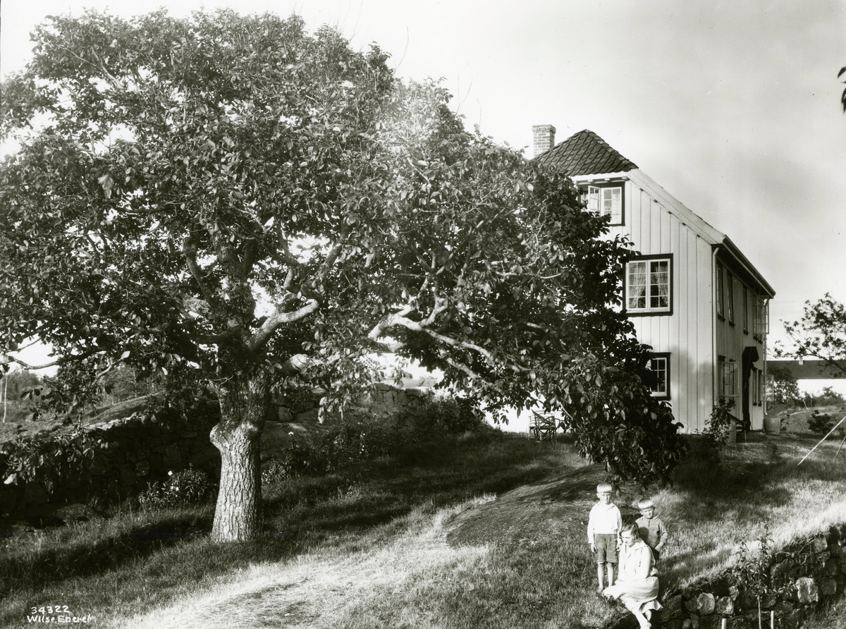 Bråtøy hovedgård, Skåtøy, Kragerø. 1929. Hus, tuntre, , kvinne og to gutter