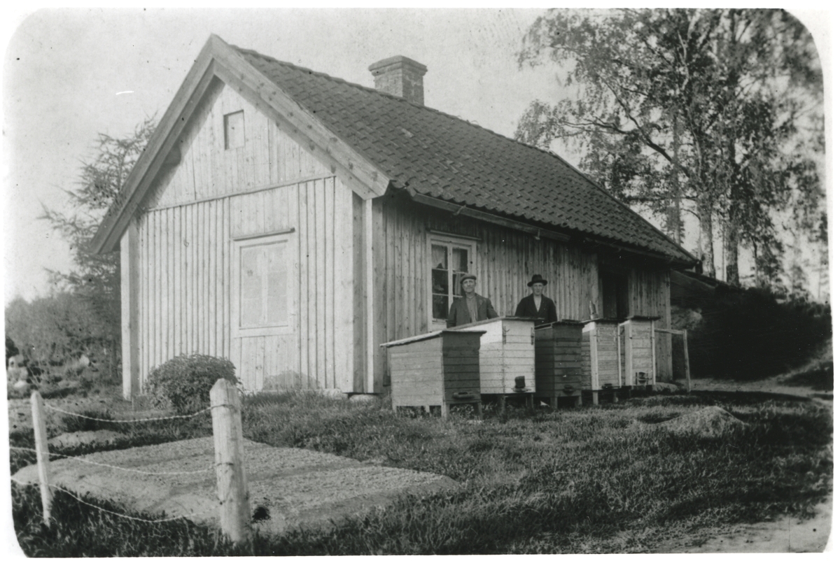 Vittinge sn, Heby kn, Skattmansö.
Två män stående bakom bikupor vid Rabo Plantskola, 1920-30-talet.