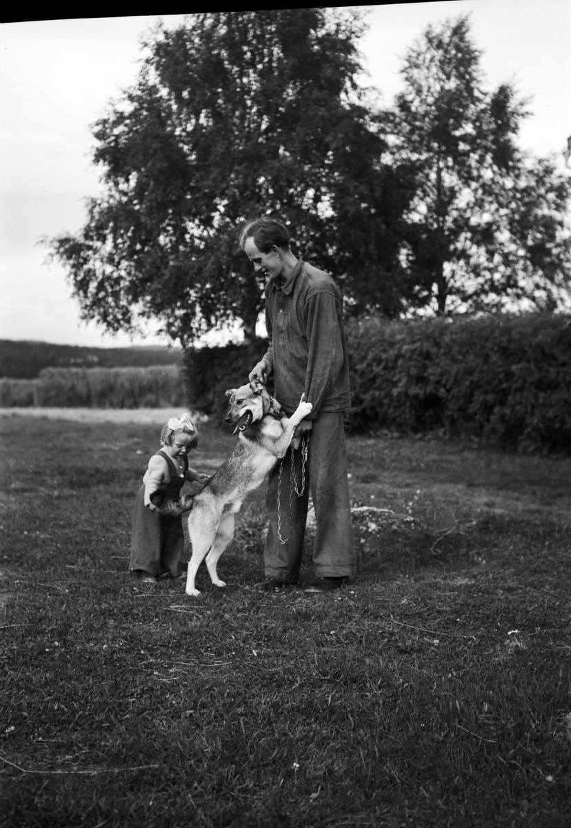 Man och barn leker med hund, Håsjö, Jämtland 1950