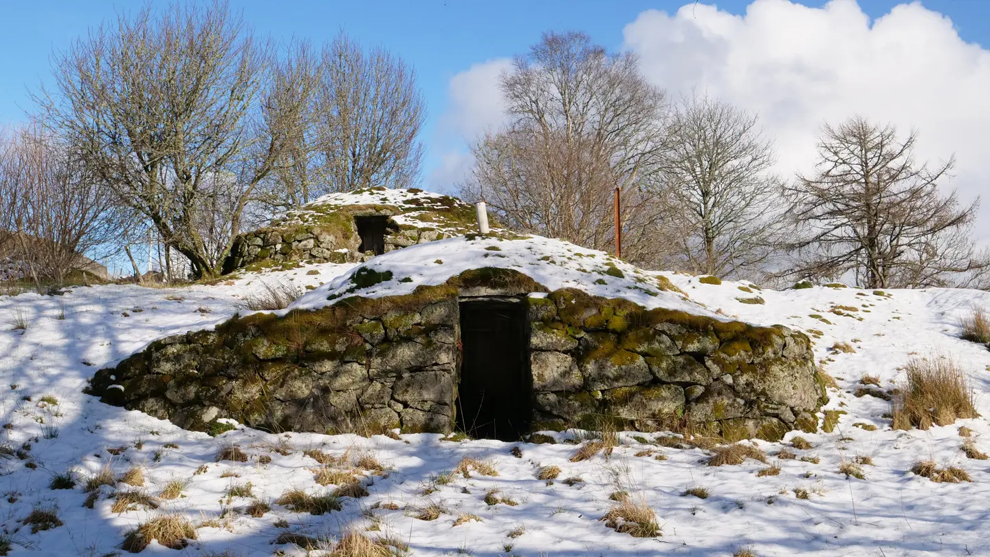 jordkjellar i snødekt landskap