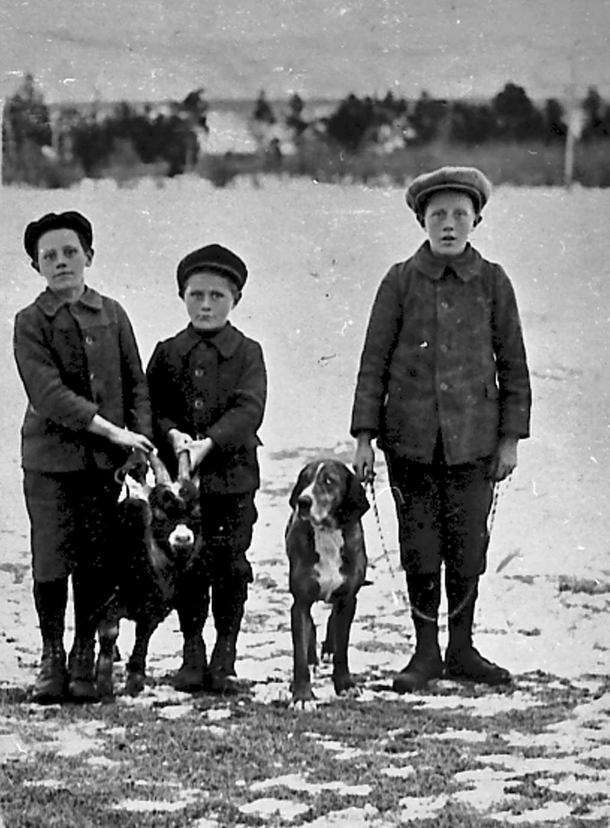 Tre gutter med hund og geitebukk