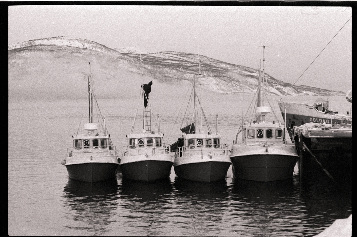 Fire fortøyde båter. Båtene var produsert på Rødskjær.