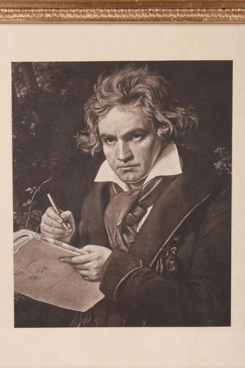 Portrett av Ludvig v. Beethoven
