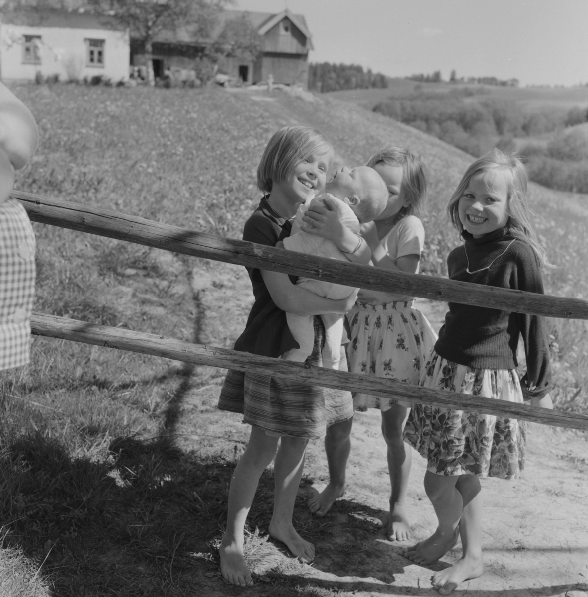 Barna ved grinda på Tangen.