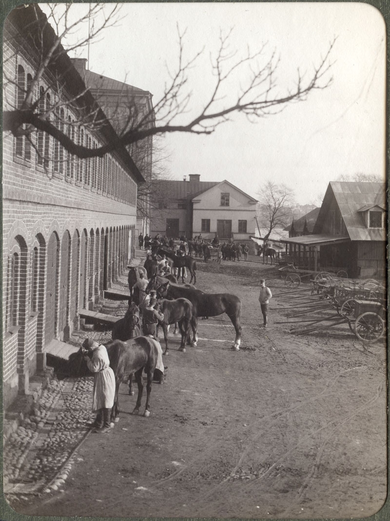 Jaktvarvet vård av hästar 1920