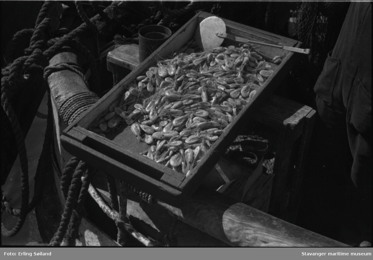 Fiskehandlere på Vågen. En kasse reker fra Torghandel, salg fra en båt.