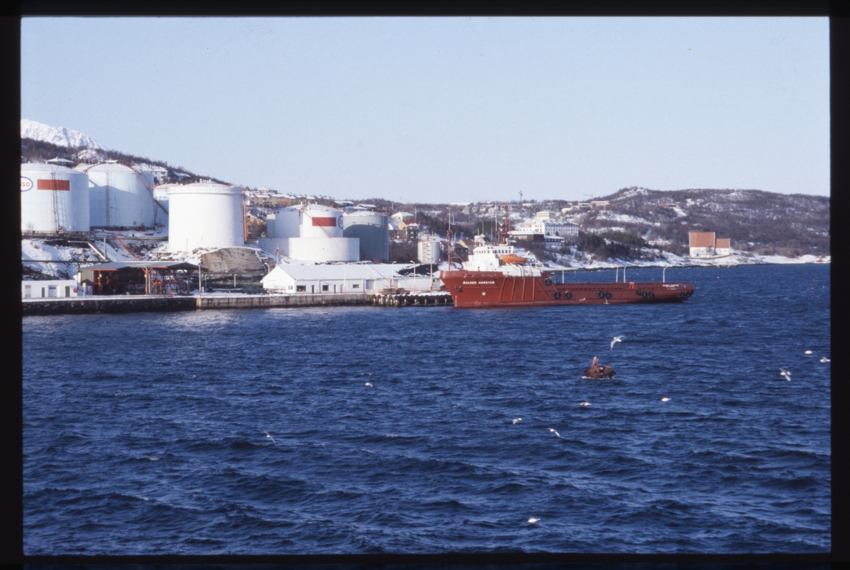 Supplybåten "Balder Harstad" utenfor Essoanlegget i Samasjøen.