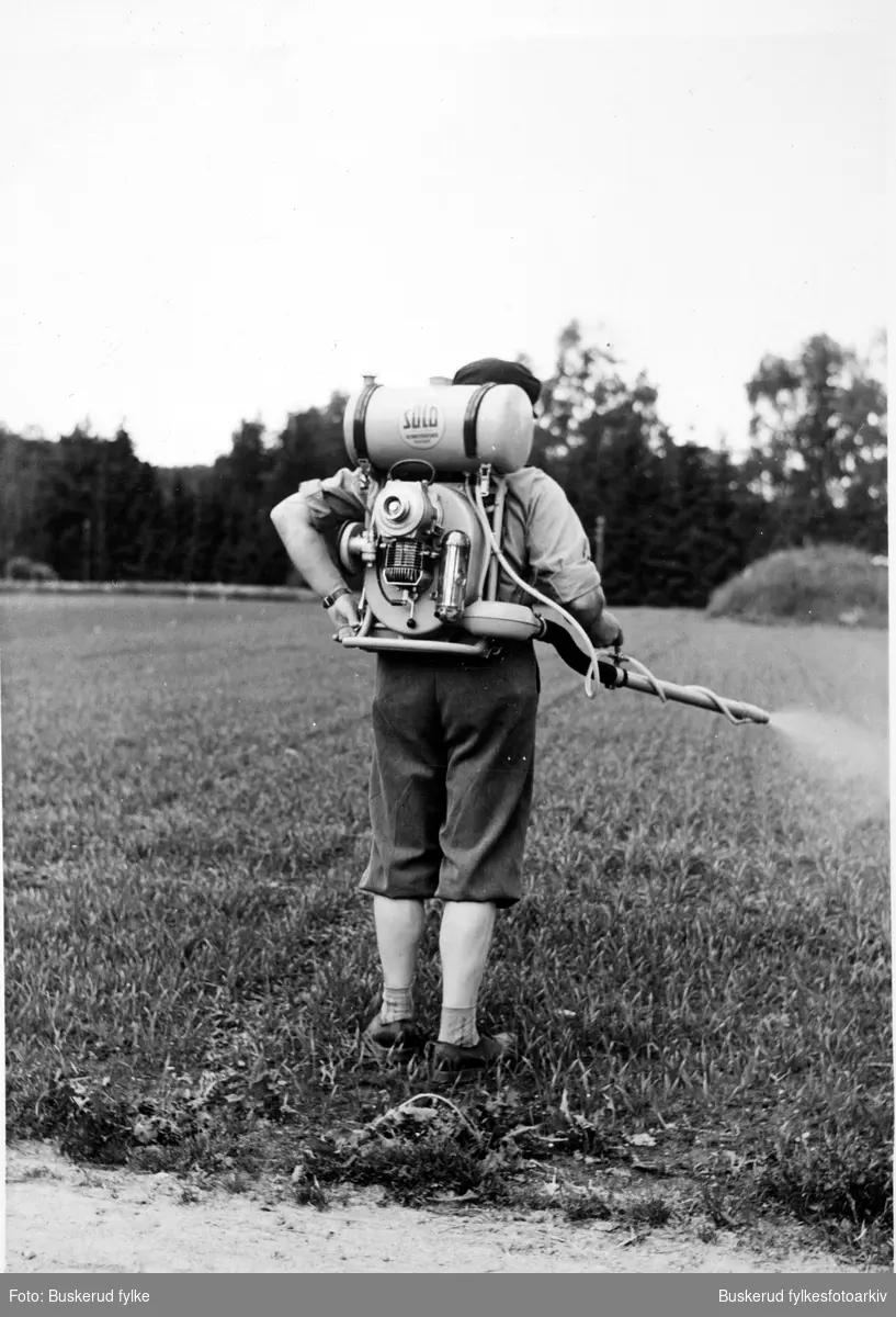 Buskerud gård
Gårssfullmektig Emil Aasheim demonstrerer ryggtåkesprøyte i datidens verneutstyr. Både ugras og insekter kunne ødelegge og hindre god avling. Dette kunne bekjempes med giftsprøyte