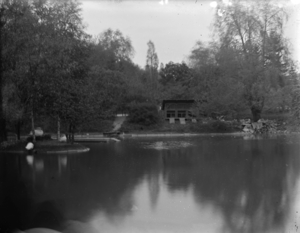 Dammen i St. Hanshaugen park
