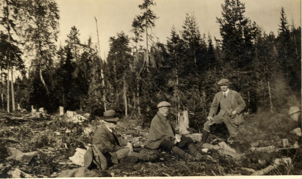 Einar Westye Egeberg sr, Ferdinand Egeberg, Westye P. Egeberg og helt til høyre Einar Westye Egeberg jr, alle fra trelastfirmaet Westye Egeberg & Co. er på befaring i nyhogd skog, antagelig i Stange, Hedmark. Fotografert 1917.