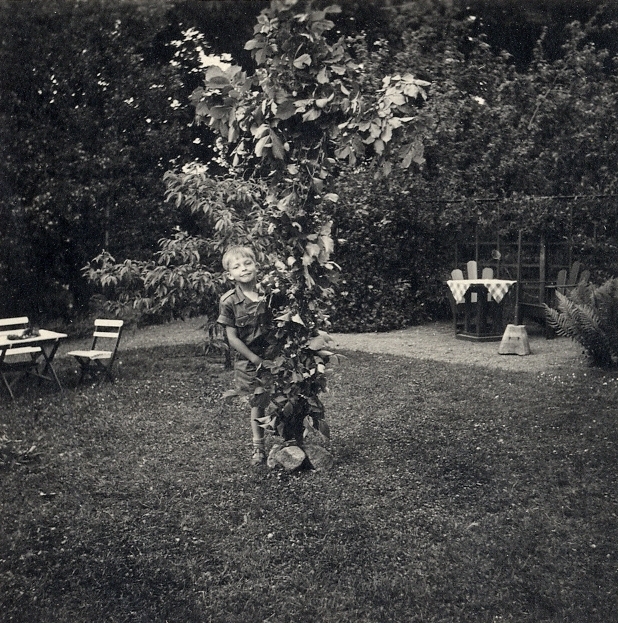En pojke står vid en midsommarstång i en trädgård. 
Text vid fotot: "Midsommarafton -51, hos familjen Holmqvist i Nevishög, Folke är så glad över den fina majstången".