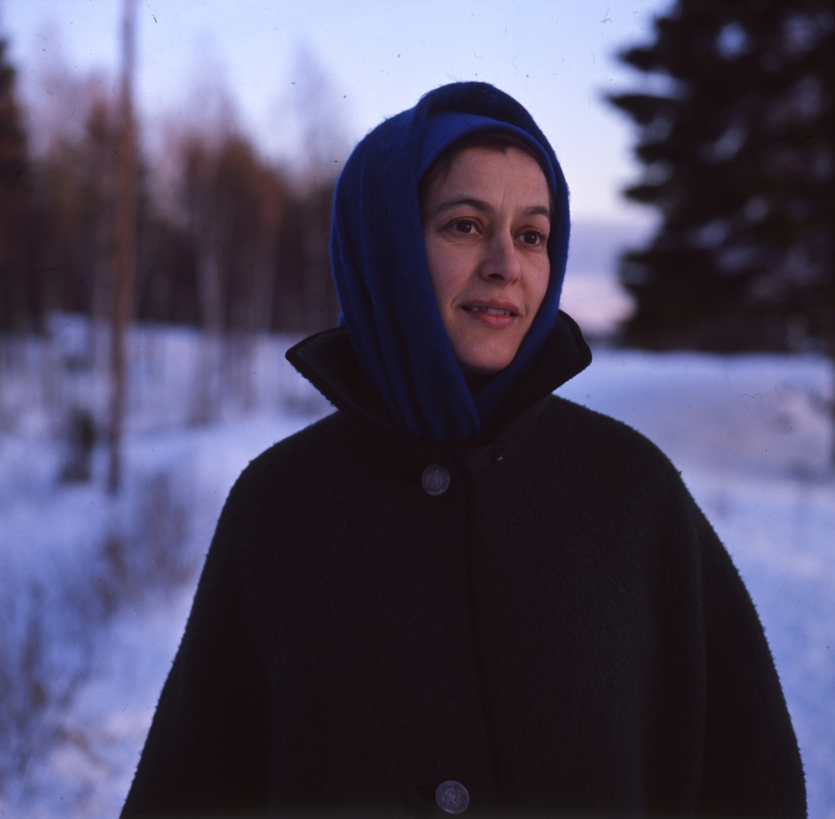 Silversmideskonstnären Rosa Taikon avporträtterad i vinterlandskap.