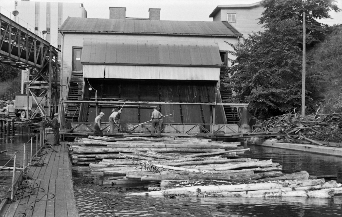 Tur til Haldenvassdraget 29. -30/8 1962. Tømmerinntak Saugbrugsforeningens fabrikkanlegg i Halden, Østfold.