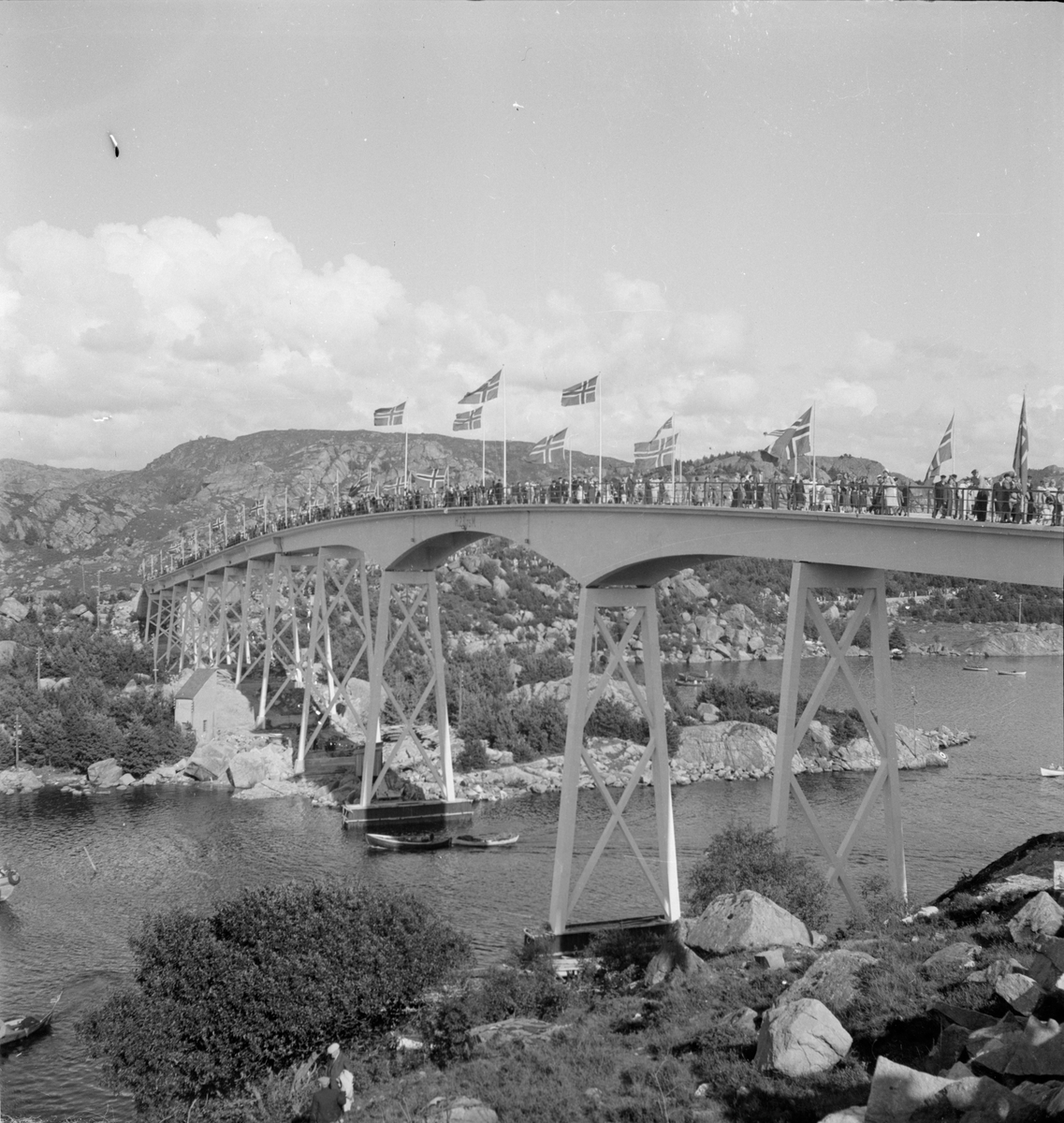 Eigerøy bru med flagg og folk under åpningen.