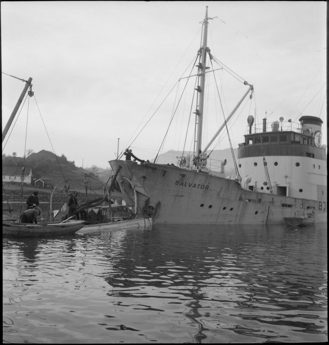Bergingsdamperne "Salvator" og "Salvage" jobber med heving av fryseskipet "Jørgen Klaus". Det brukes taljer, dykkere og rør som pumper ut vann.