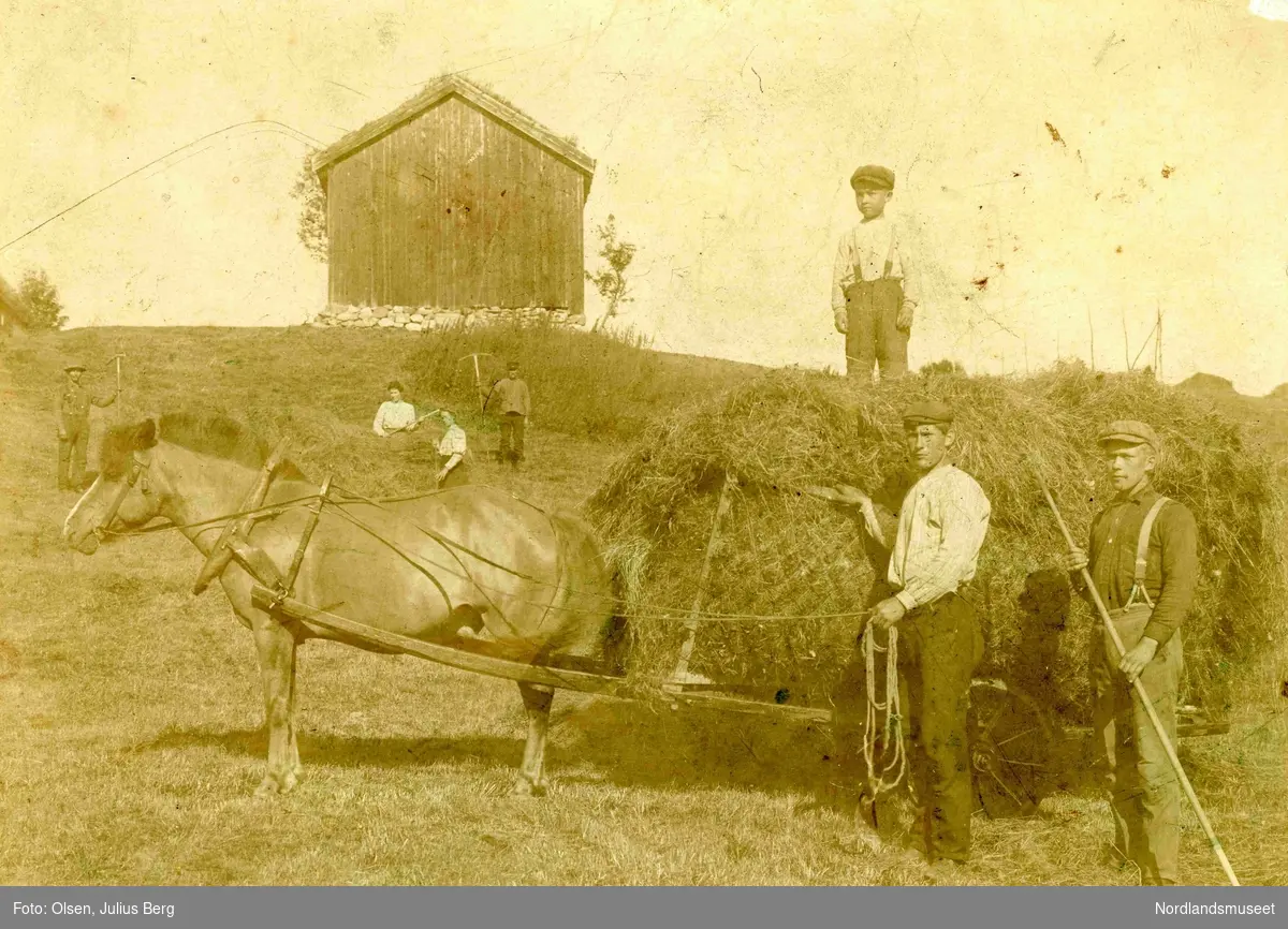 Slåttonn på gården Russvollen på Marhaug. Hest med høyvogn, samt gårdsarbeidere. På høylasset står Andor Adolfsen (1900). Foran fra høyre: Hilmar Joh. (1891) og  Emil Sverdrup (1889) Olsen. Bildet er tatt av broren Julius Berg Olsen (1885).
