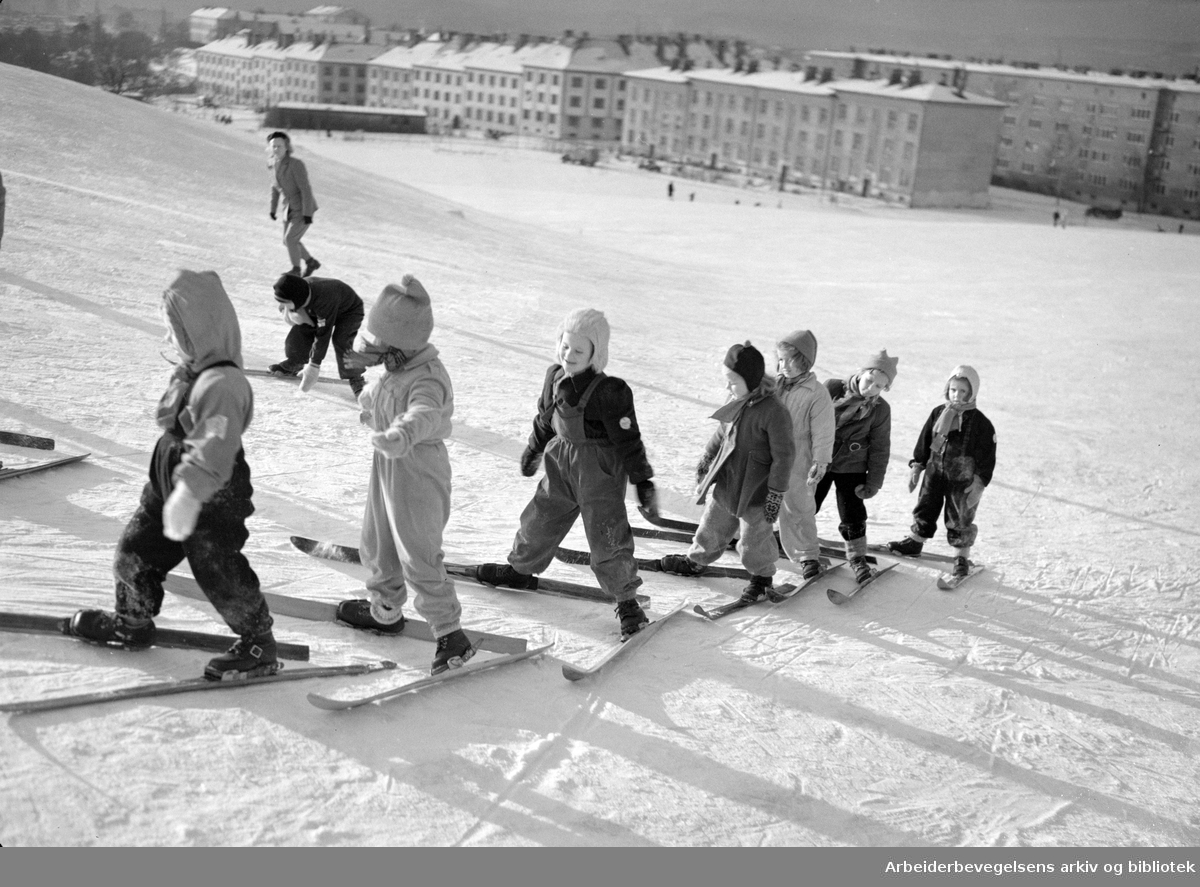 Framfylkingen. Oslo Framkrets' skiskole i Torshovdalen 13 til 17 januar 1950.