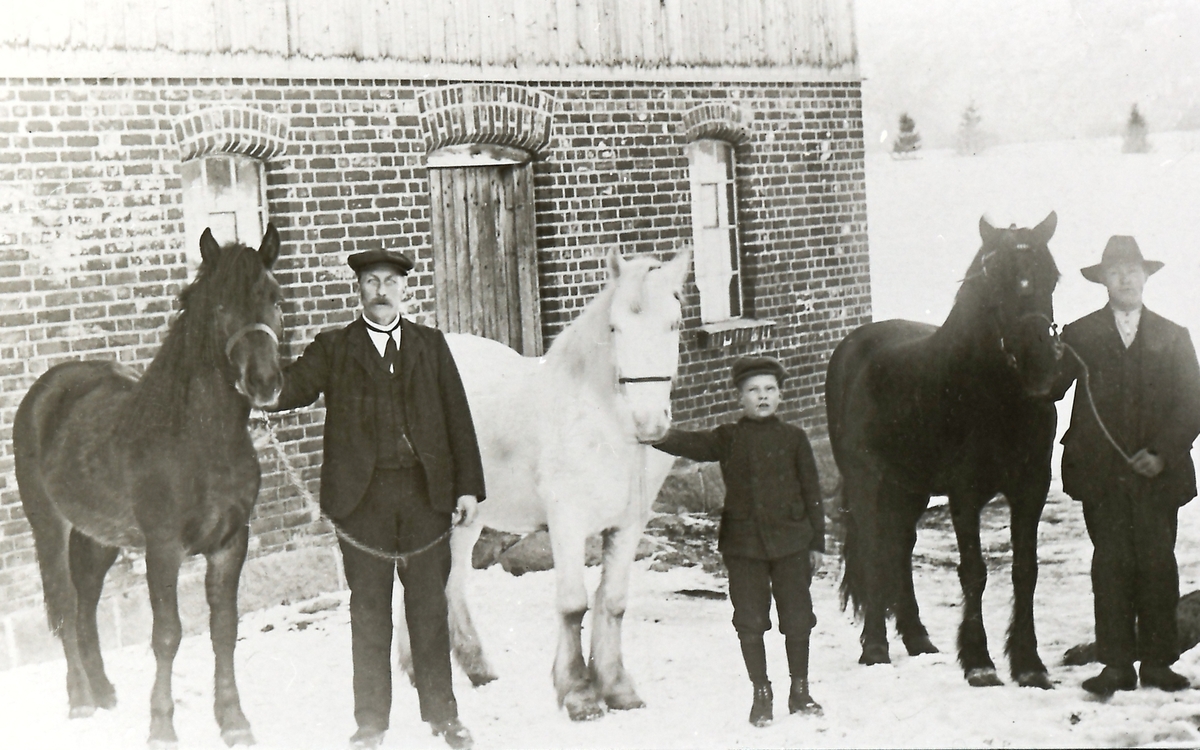 Tre karer med hver sin hest: Anders Gulli f. 1867, Sigurd Gulli f. 1901 og Ingvald Vesetrud f. 1886.