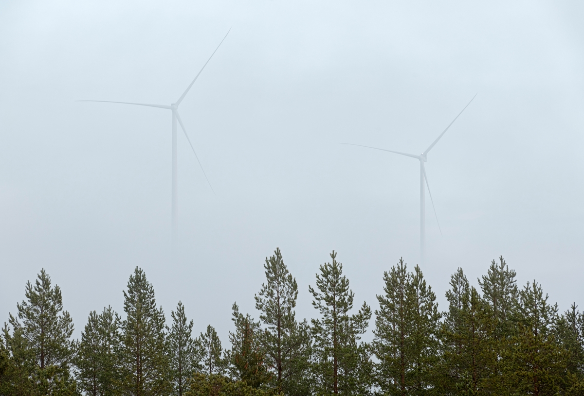 Vindturbiner og skog i tåke på Finnskogen, Hedmark. Kjølberget ...