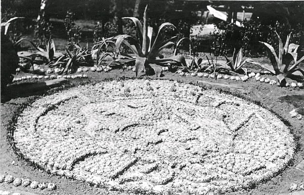 Kaktusplanteringen i Varbergs järnvägspark som detta år uppvisar en medaljong med Hallands vapen så det bör vara 1953. På bild 2 ses t h stadsträdgårdsmästare Oscar Johansson och en medarbetare i planteringen.