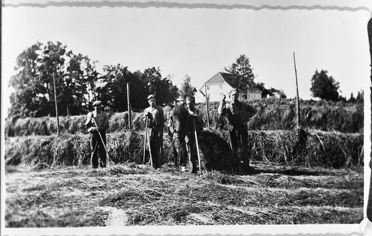 Hesjing på Kallerud i Vestre Toten 1938. Personene er Harald Berg, Leif Ringvold, Karl Sørlien, og Arne Furulund.