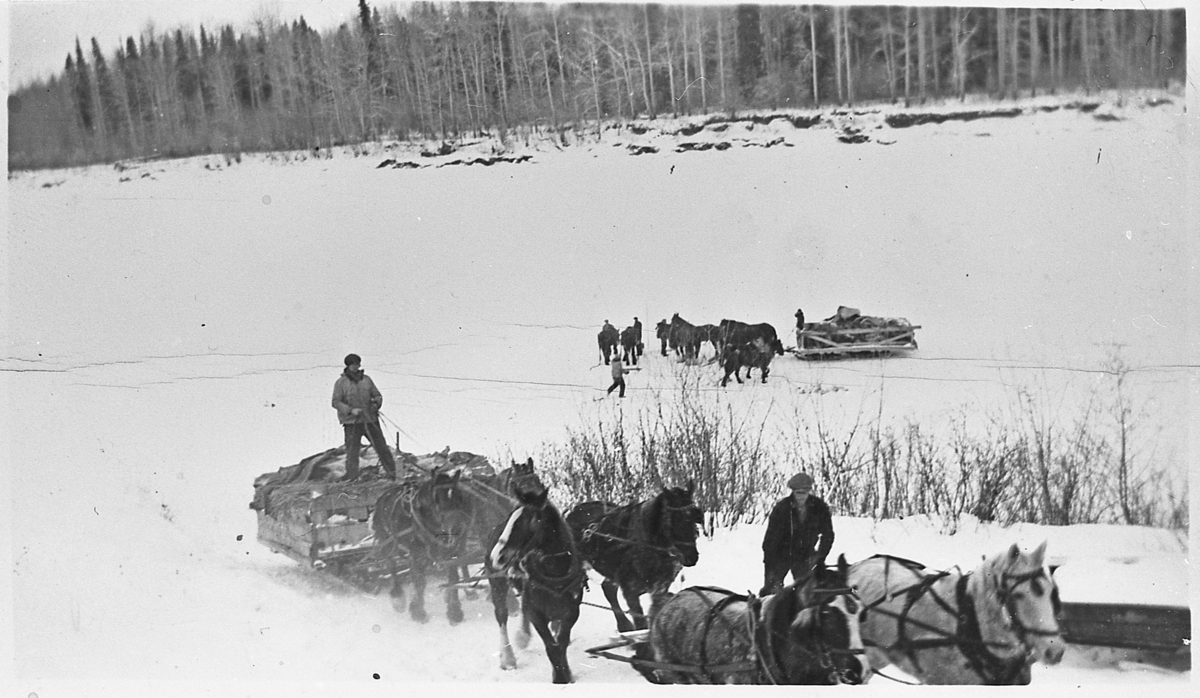 Kjøring av varer til pelsjegere i Forth Nelson, Alaska.1933.