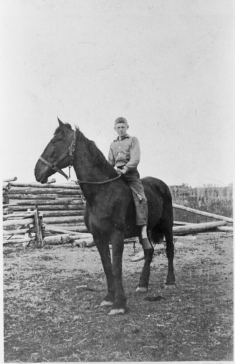 Ole Grønseth på hesteryggen i Canada, omkring 1936. Innhegningen bak ble brukt til å fange ville hester og krøtter.