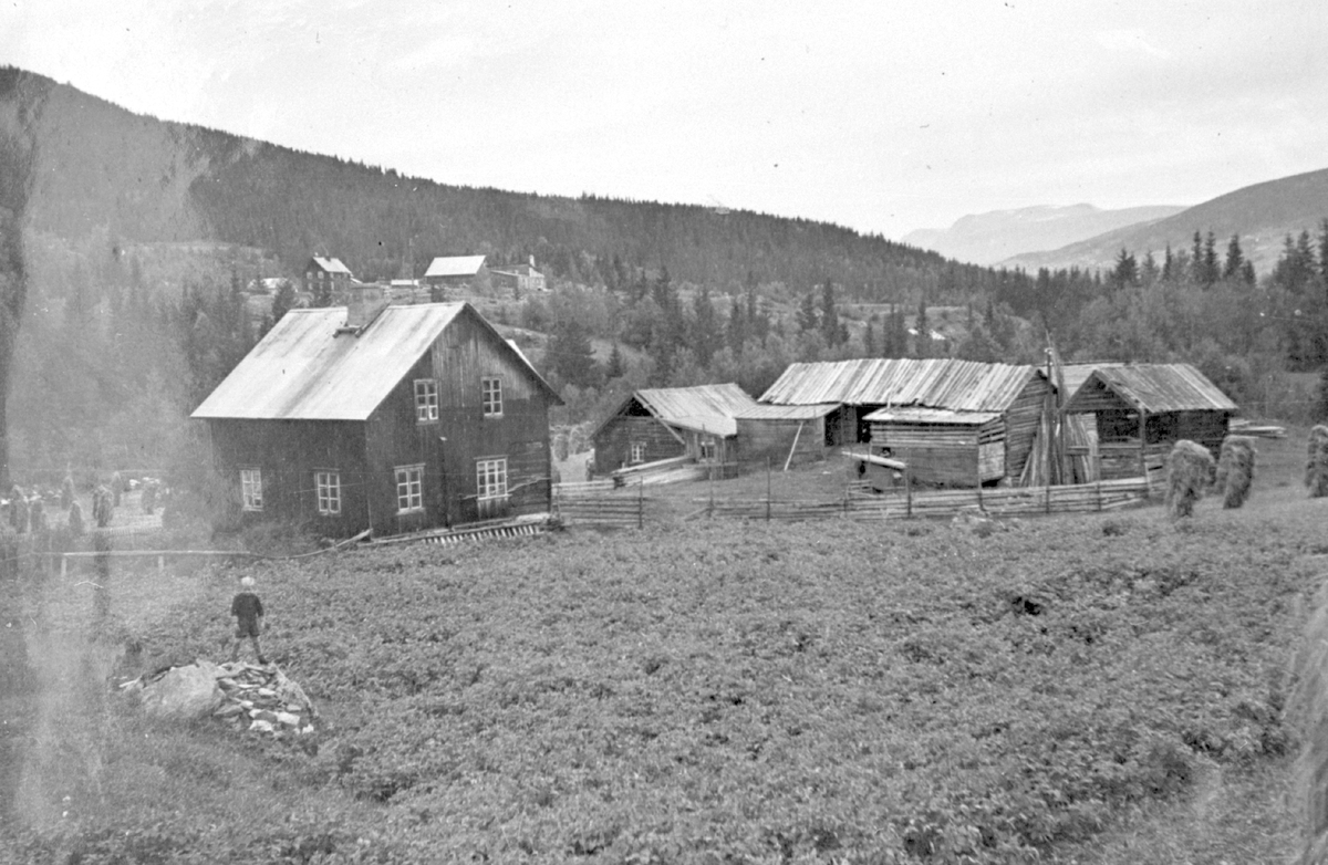 Garden Dokken i Vestre Slidre. ca. 1949.